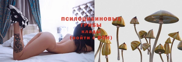 гидропоника Беслан