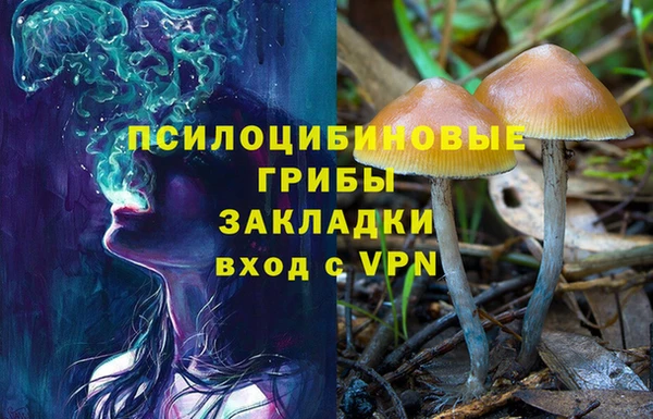 ECSTASY Нефтекумск