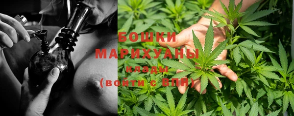 синтетический гашиш Новозыбков