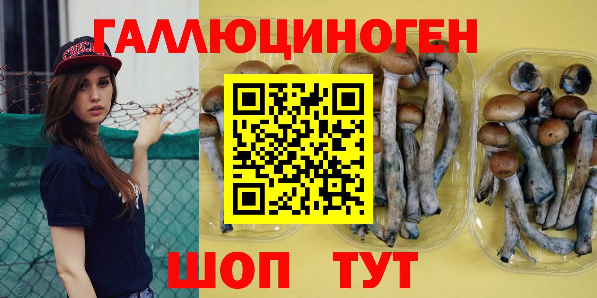 Псилоцибиновые грибы прущие грибы  Кондопога 