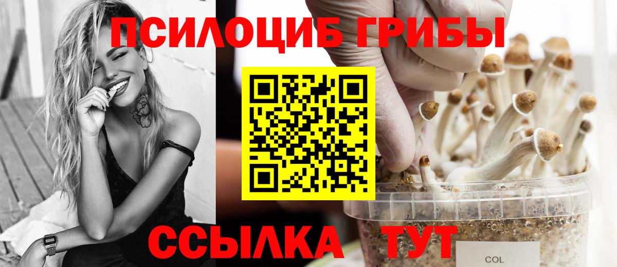 Псилоцибиновые грибы мицелий Кондопога