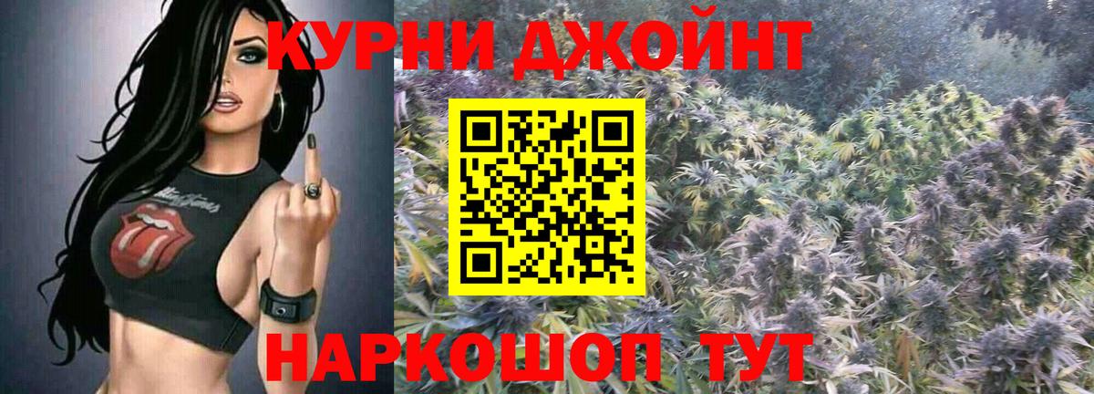 Каннабис White Widow  Кондопога  Бошки Шишки план 